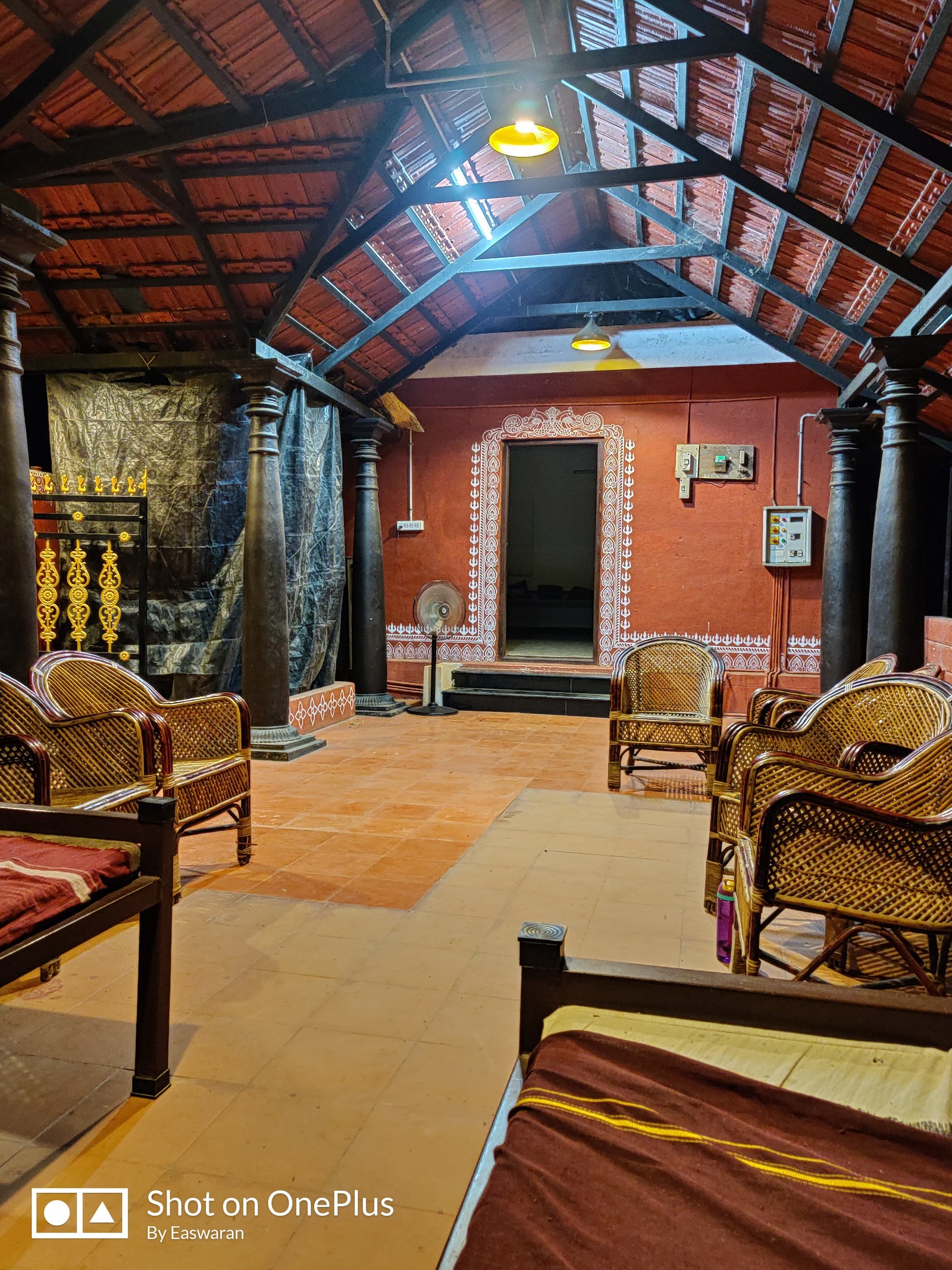 Students practicing yoga in nature